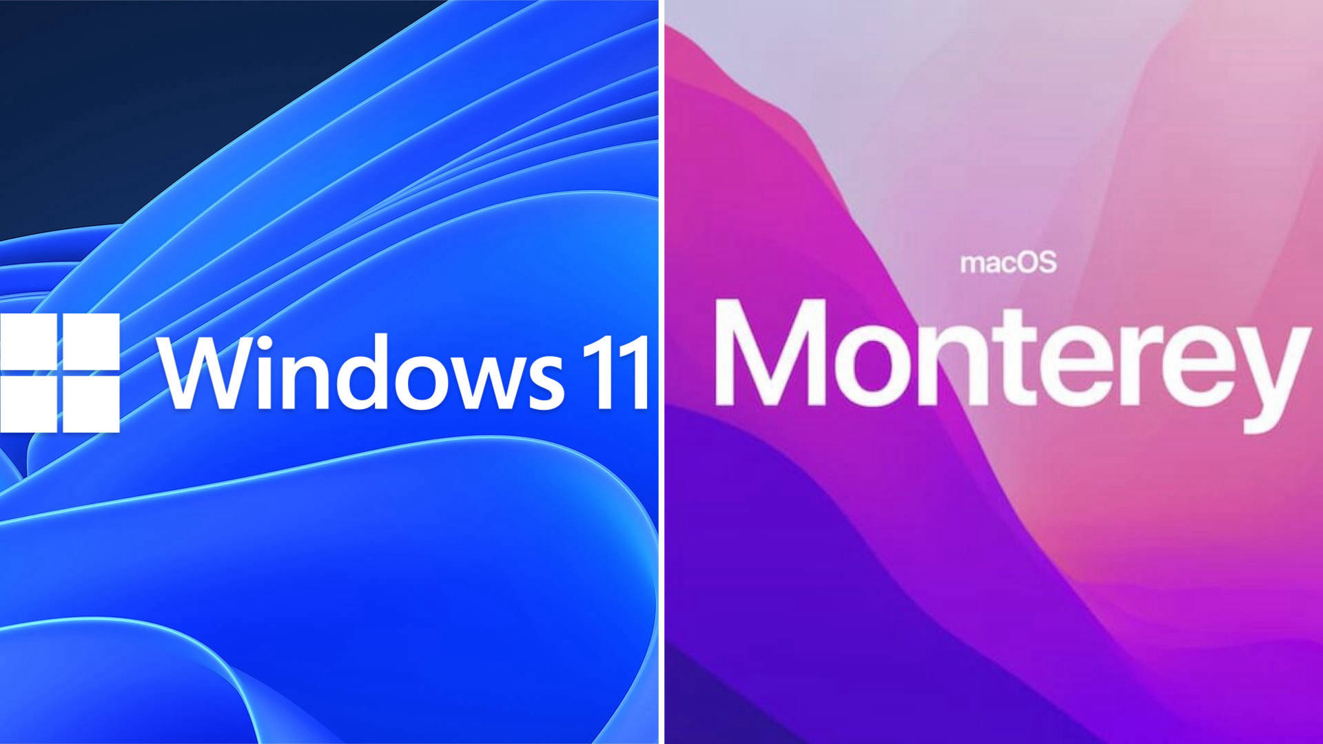 Windows 11 vs MacOS Monterey