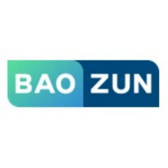 Baozun Hong Kong Limited