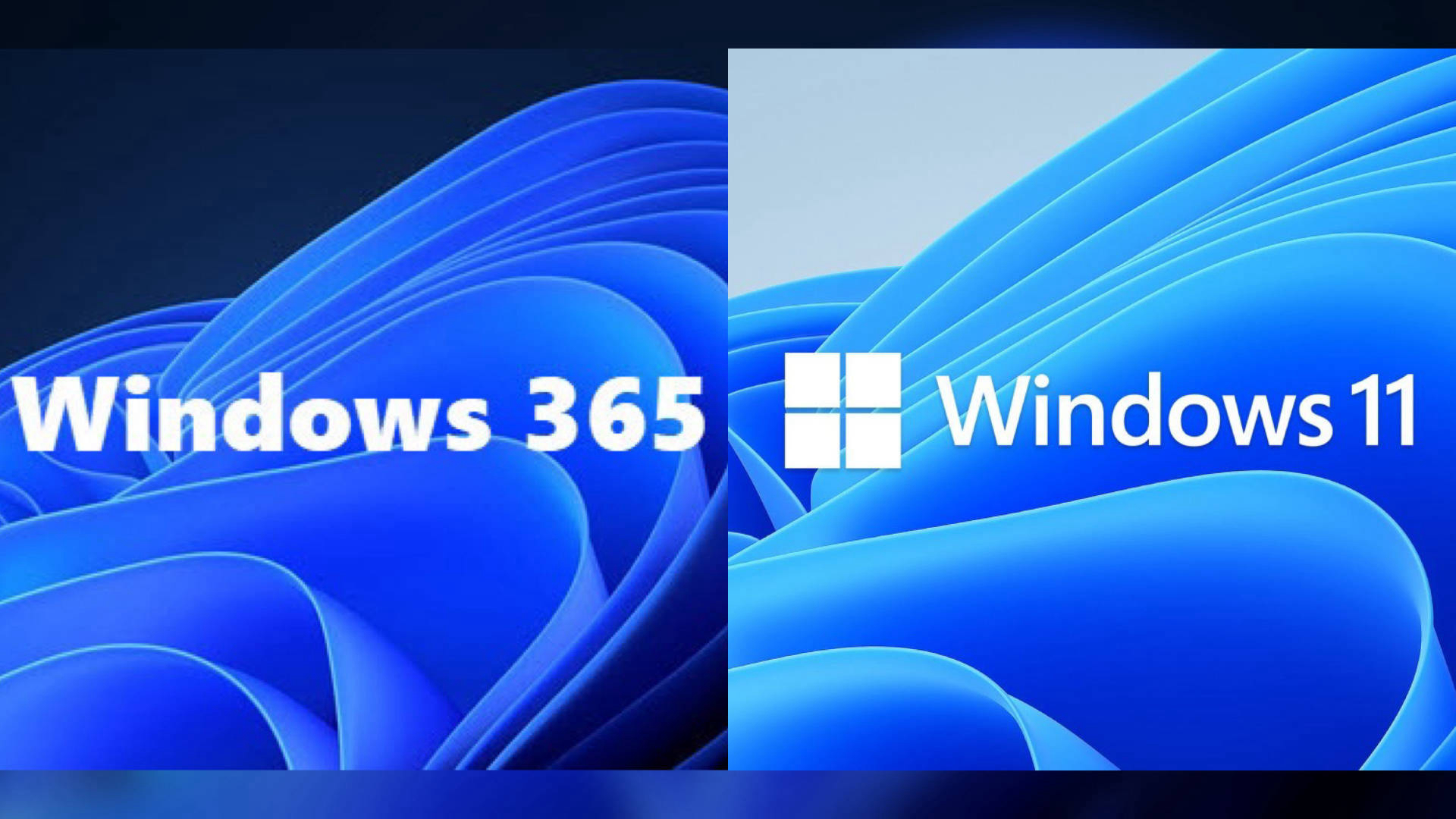 Windows 365 vs Windows 11