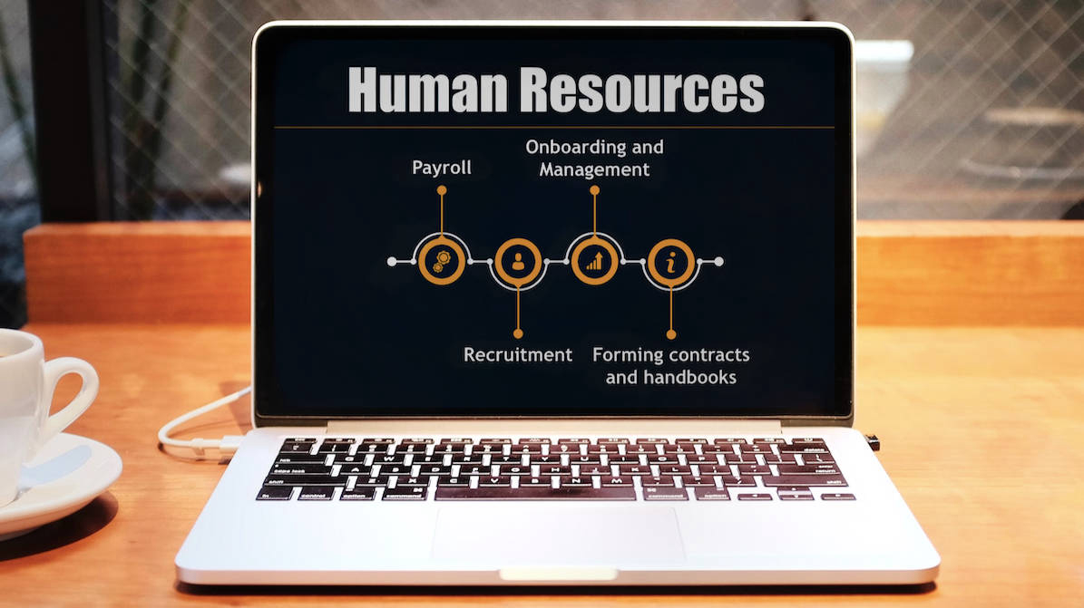hr, human resources